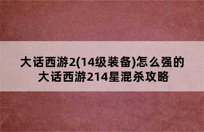 大话西游2(14级装备)怎么强的 大话西游214星混杀攻略